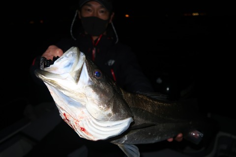 20200428205525_IMG_8585