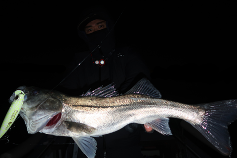 sketch-1671832037266