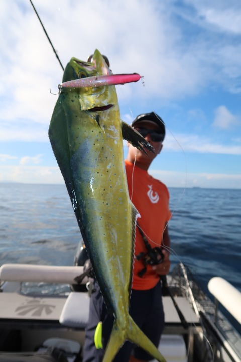 20200831072509_IMG_0025