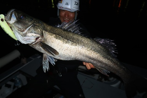 20240404212656_IMG_0841