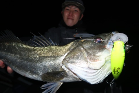 20221214220111_IMG_4128