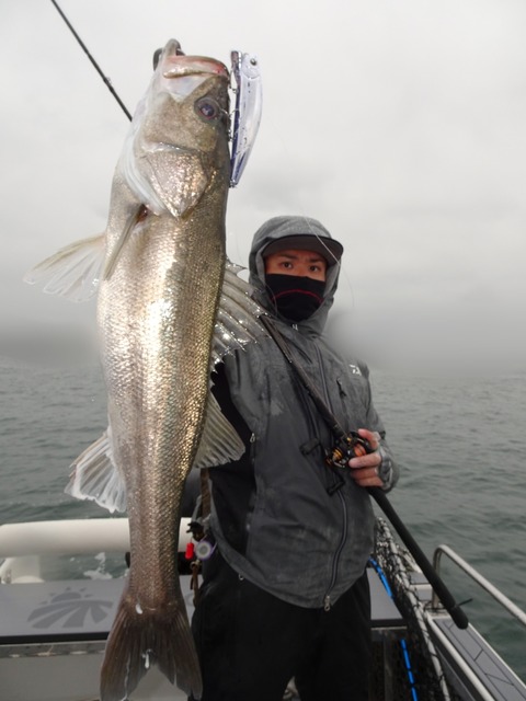 ぼかし丸_20191128_194621