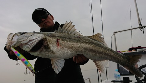 [画像:03461904-s.jpg]