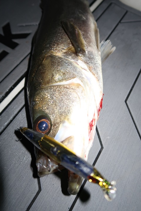 20200325191024_IMG_8133