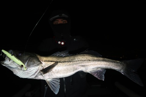 20240107215031_IMG_9582