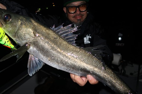 20200314021521_IMG_7952