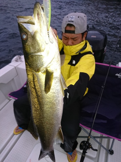 [画像:0536de6d-s.jpg]