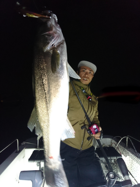 sketch-1541190328857