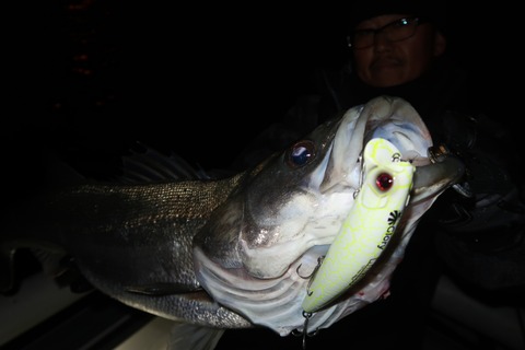 20211214184939_IMG_8599