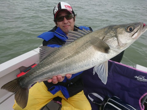 [画像:058a2377-s.jpg]