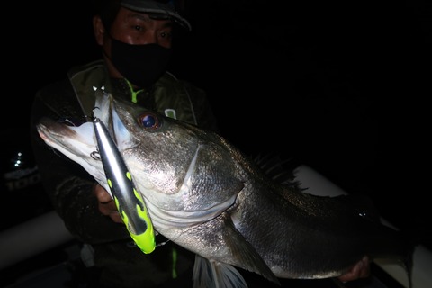 20211103190723_IMG_7250