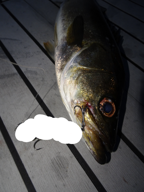 sketch-1564543371476