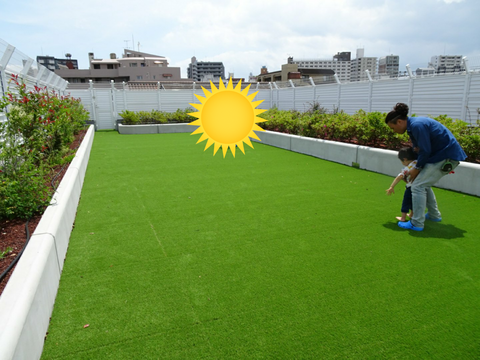 sketch-1558204072566