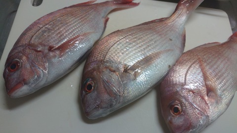 DSC_0001_BURST20190929175554802