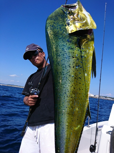 [画像:08299fb4-s.jpg]