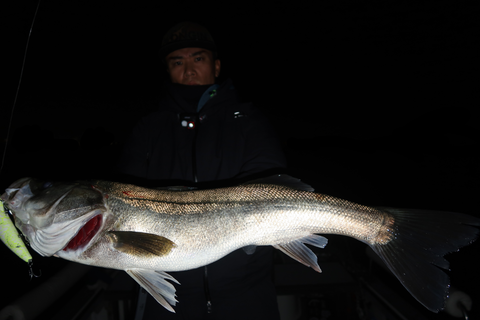 sketch-1667762672942