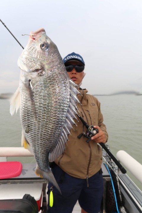 sketch-1595933526640