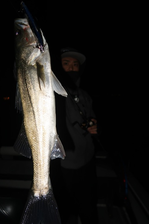 20200309221922_IMG_7910