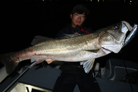 20221022233451_IMG_2653