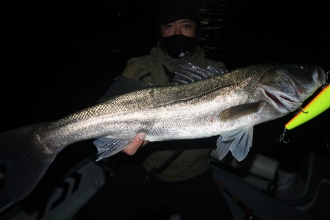 20221118200202_IMG_3394