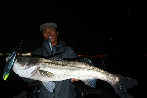 sketch-1601753314639