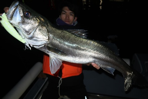 20211212004047_IMG_8507