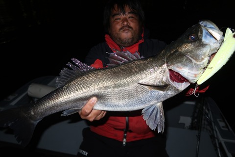 20240404193918_IMG_0819