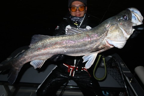 20221217214947_IMG_4195