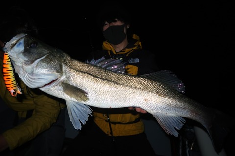 20221102010333_IMG_2943