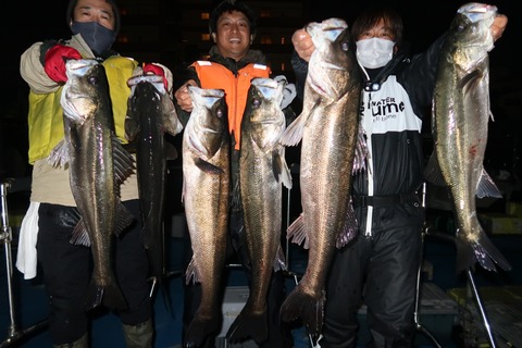 20221106001203_IMG_3024