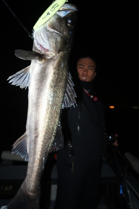 20240401201230_IMG_0797