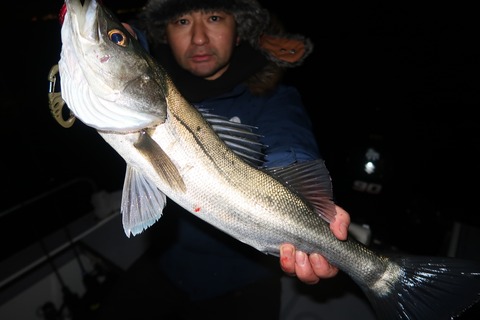 20200204034723_IMG_7347