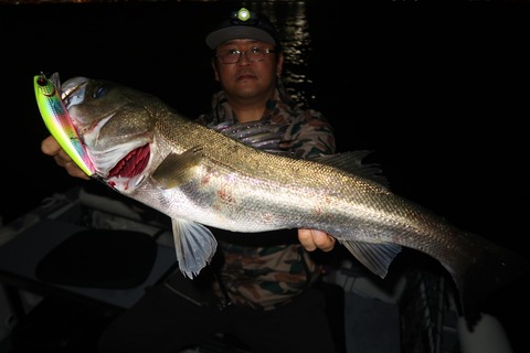 20201003213325_IMG_0355