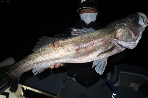 20221022222335_IMG_2649