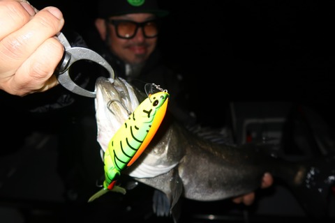 20200314021529_IMG_7954