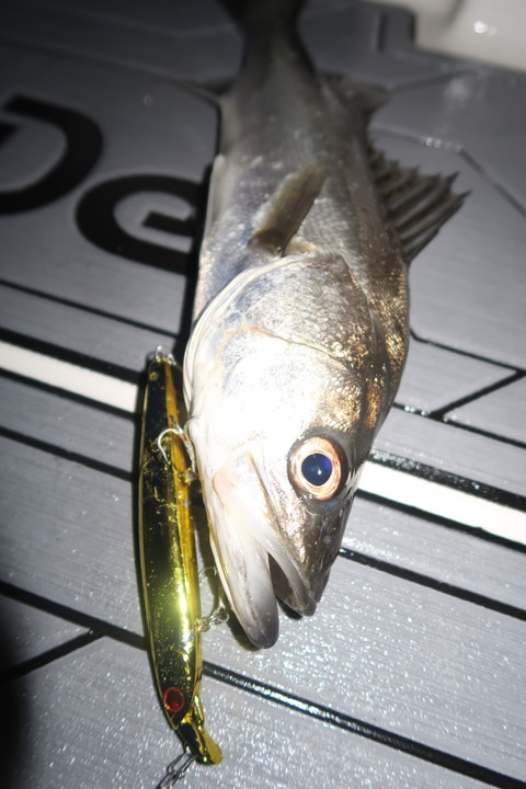 20200302230610_IMG_7853