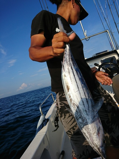 [画像:0cbfb114-s.jpg]