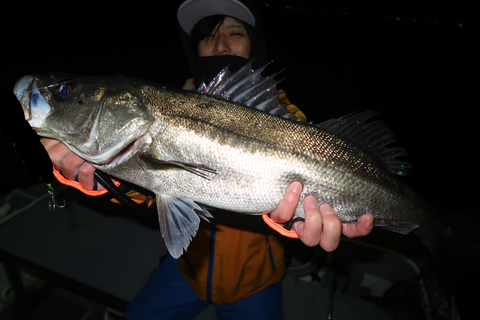 sketch-1671234079852