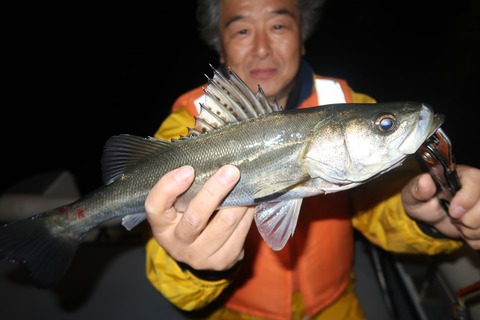 20231028222557_IMG_8245