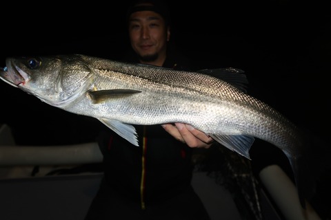 20231027235711_IMG_8235