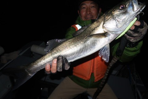 20231113202632_IMG_8426