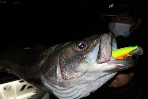 20221022222343_IMG_2651