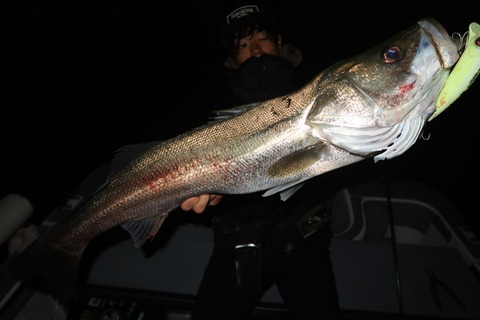 20231114230342_IMG_8512