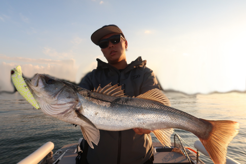 sketch-1603723271825