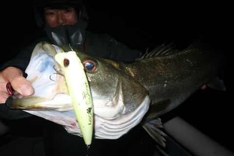 20231114222538_IMG_8499