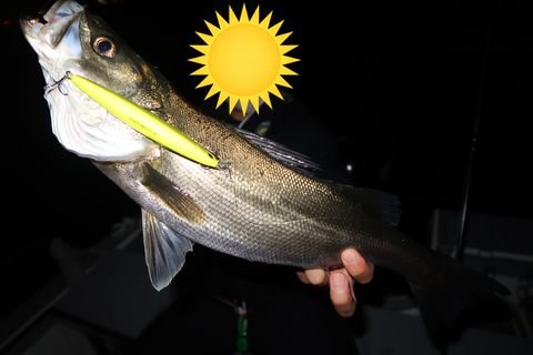 sketch-1590451814170