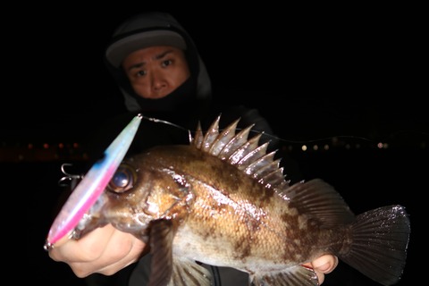 20200425215214_IMG_8562