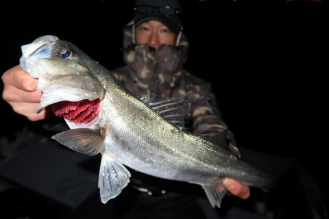 20200218195450_IMG_7582