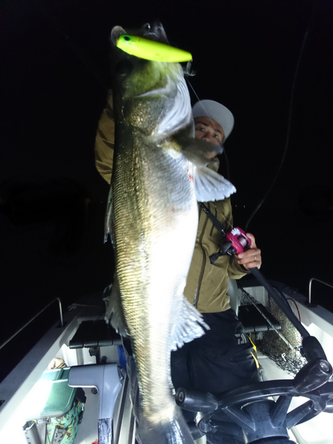 sketch-1542207371021