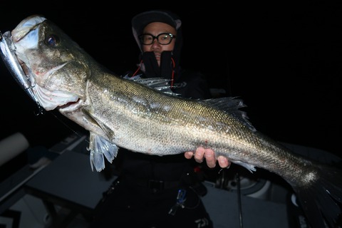 20221106230838_IMG_3047